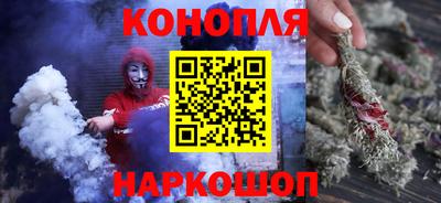 гидра Заводоуковск
