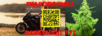 гидра Заводоуковск