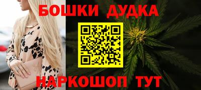 гидра Заводоуковск