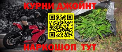 гидра Заводоуковск