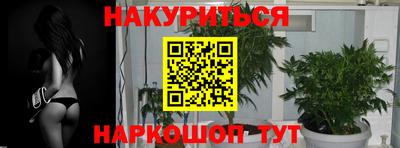 гидра Заводоуковск