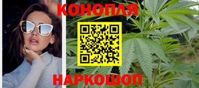 гашик Жуковский