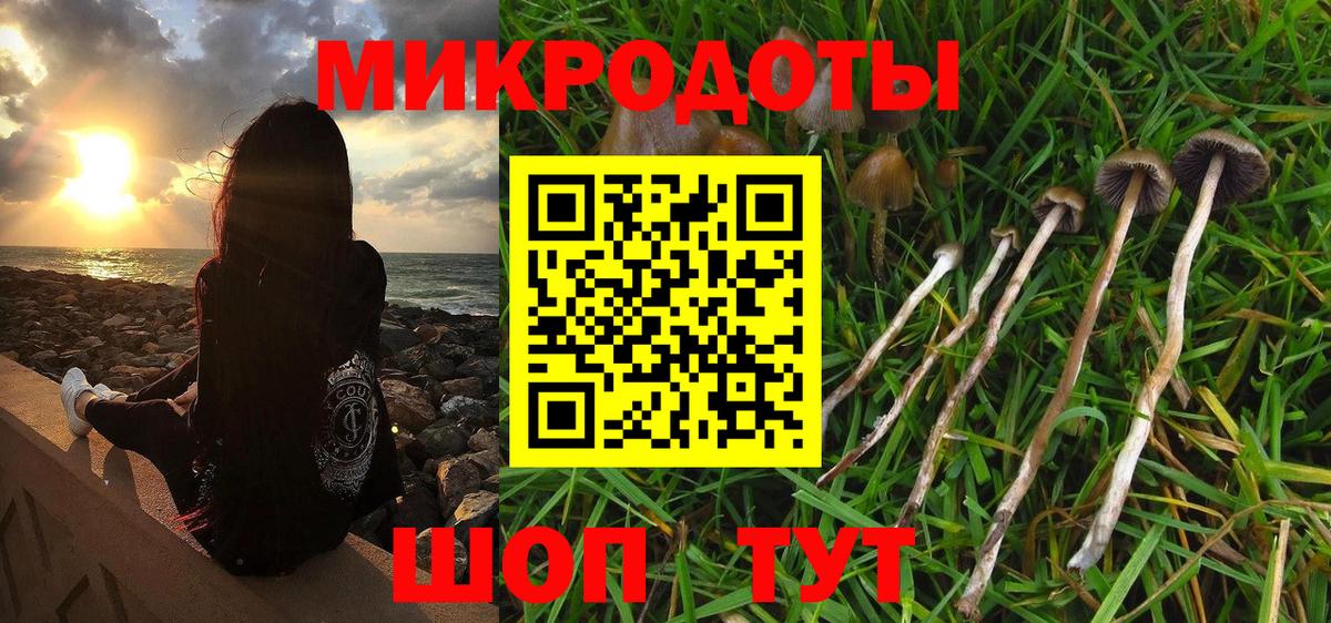 Галлюциногенные грибы MAGIC MUSHROOMS  Вход с VPN  Майский 